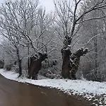 Rural El Lagar De Medulas *