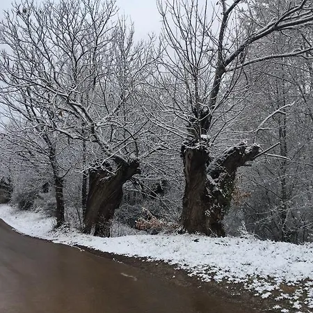 Rural El Lagar De Médulas *