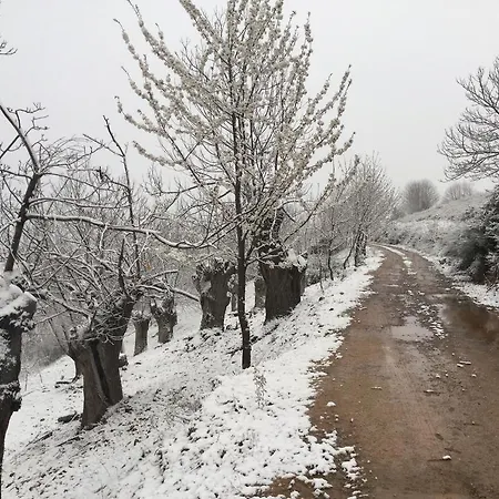 Rural El Lagar De Medulas מלון *