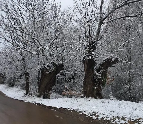 Rural El Lagar De Medulas *